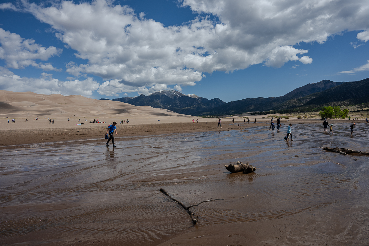 DSC_8201.jpg