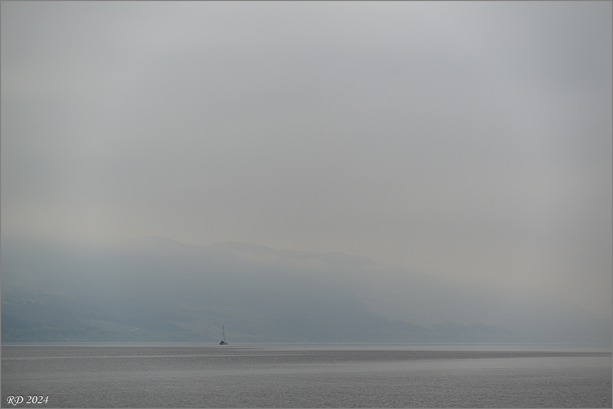 DSC_8202.jpg