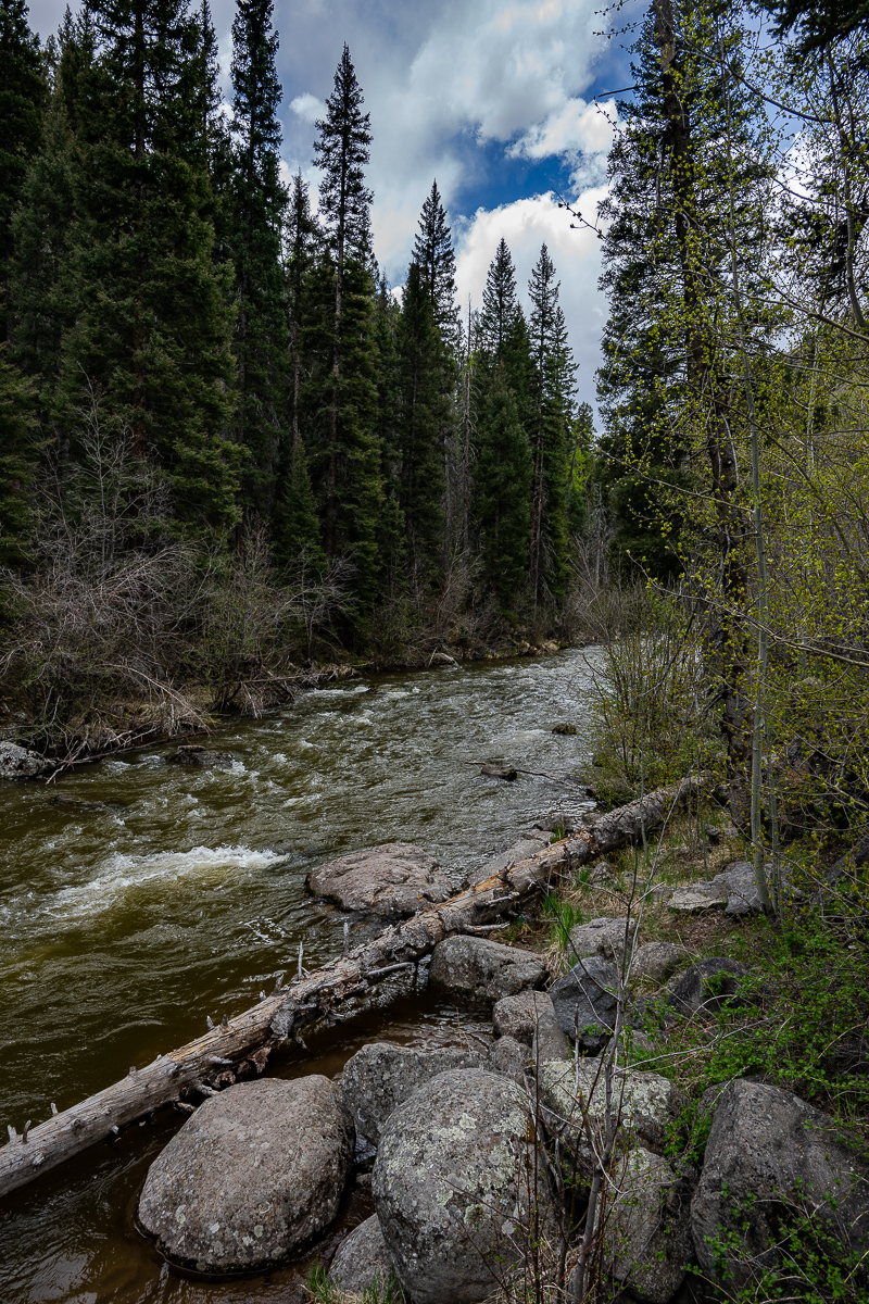 DSC_8206.jpg