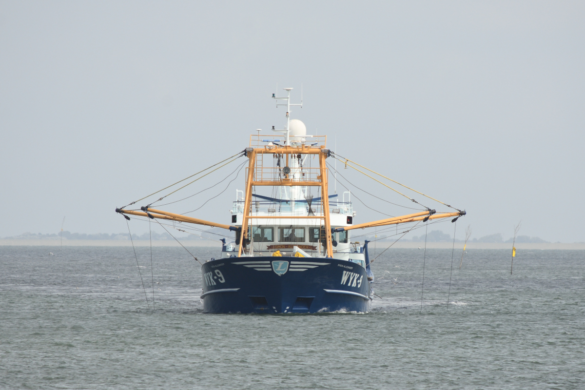 DSC_8210.JPG