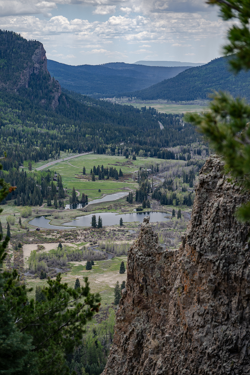 DSC_8215.jpg