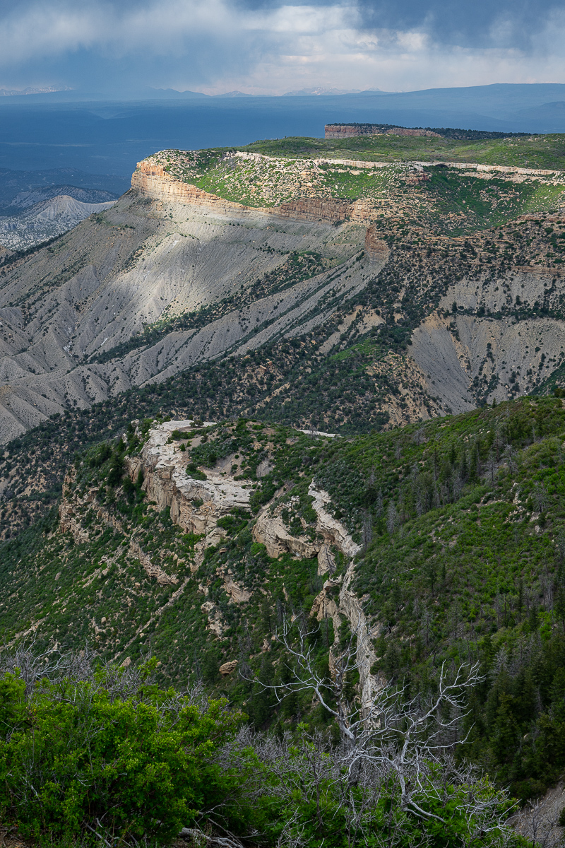 DSC_8225.jpg