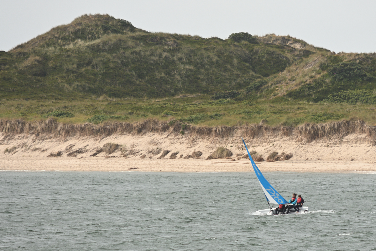 DSC_8235.JPG