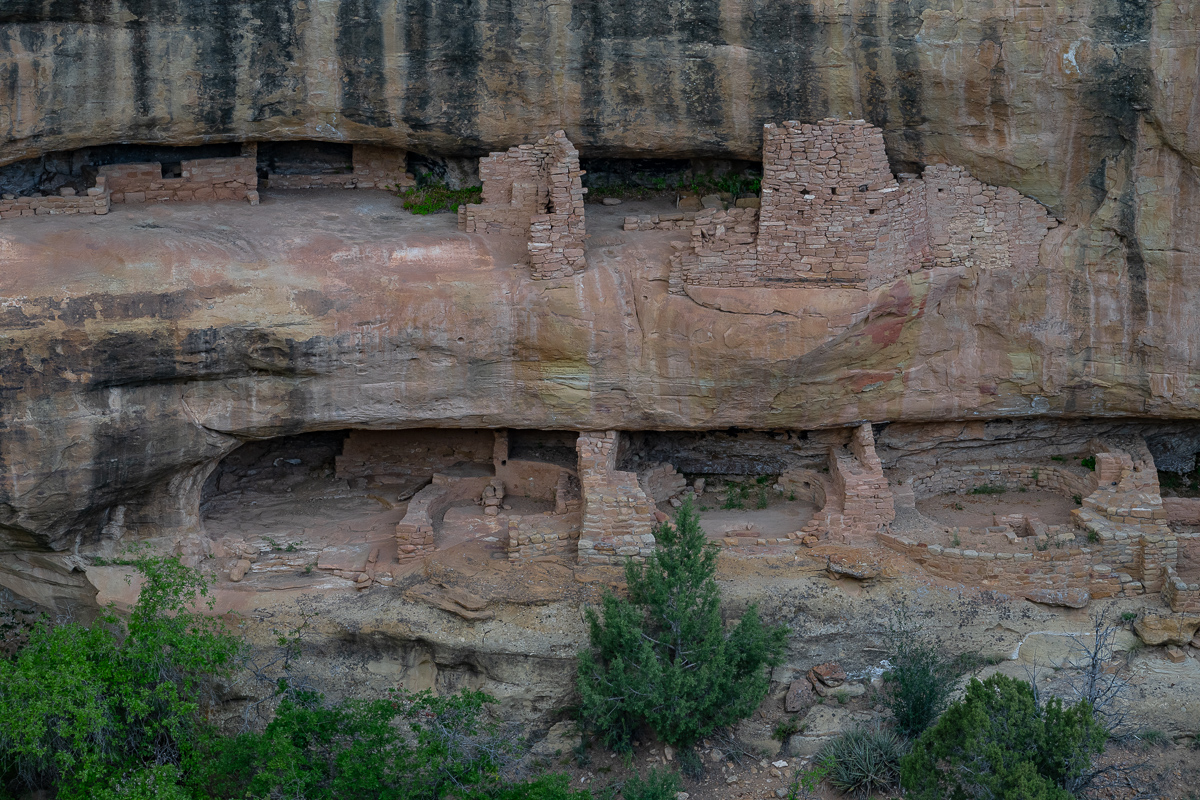 DSC_8249.jpg