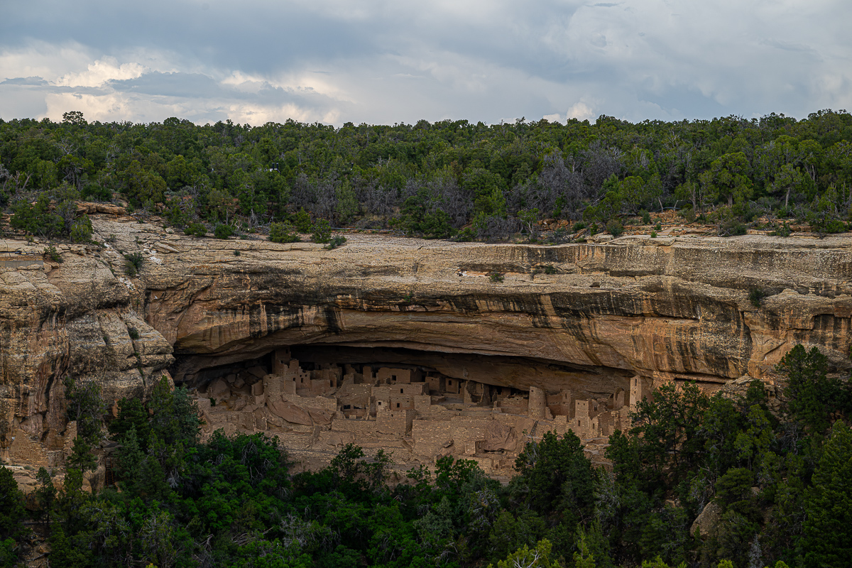 DSC_8254.jpg
