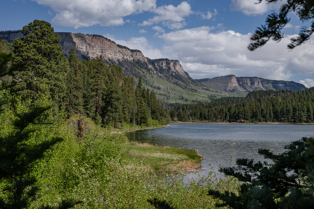 DSC_8266.jpg