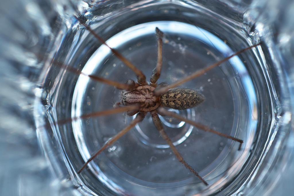 DSC_8289.jpg