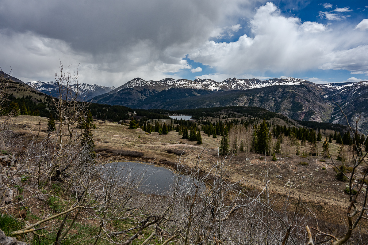 DSC_8301.jpg
