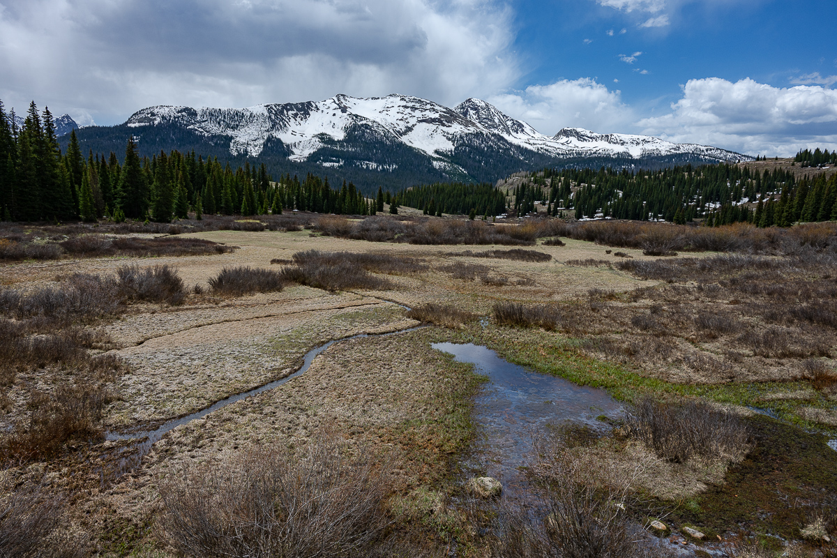DSC_8303.jpg