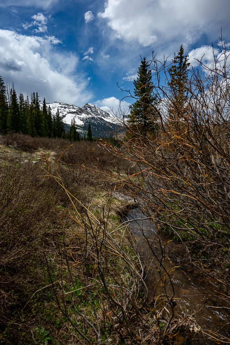 DSC_8308.jpg