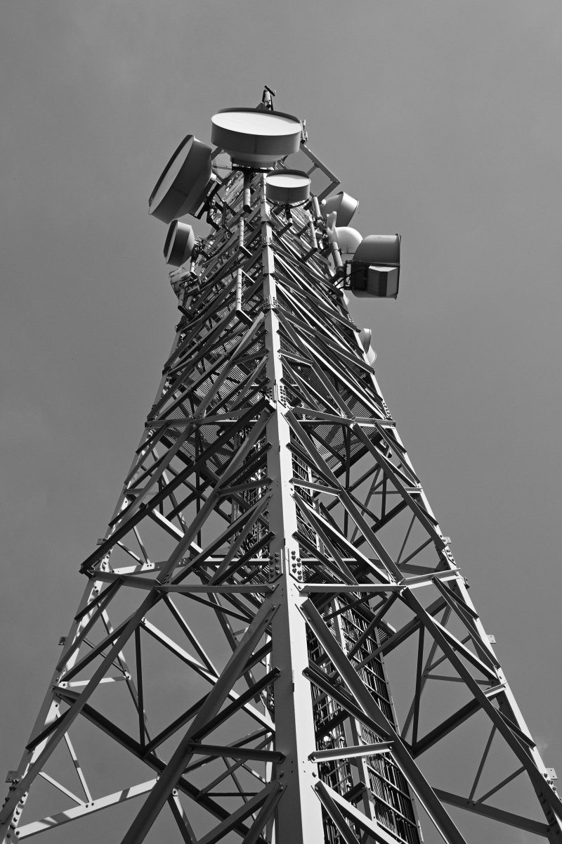 DSC_8369.JPG
