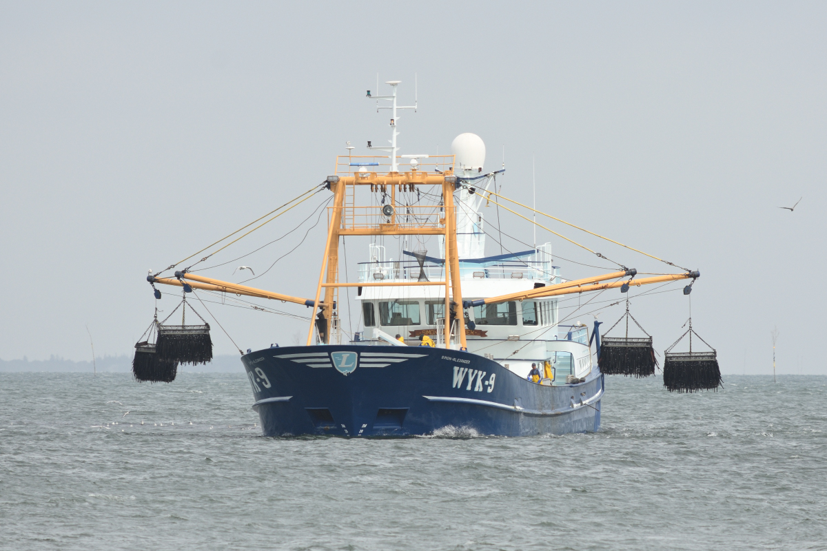 DSC_8388.JPG