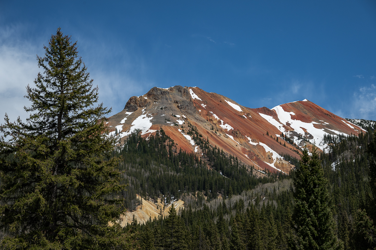 DSC_8393.jpg