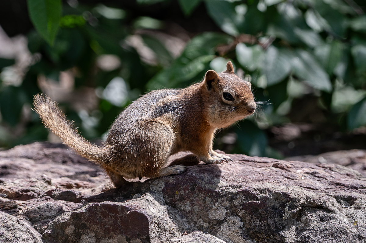 DSC_8407.jpg
