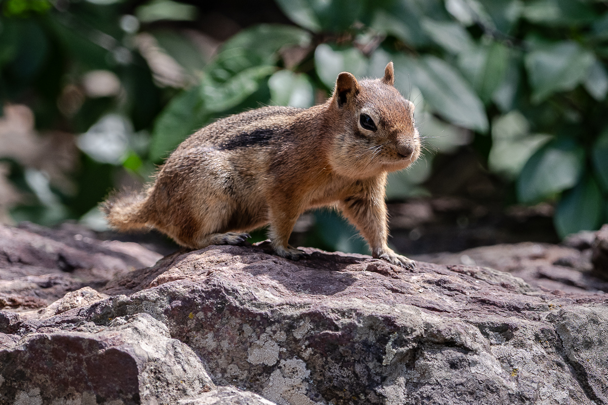 DSC_8409.jpg