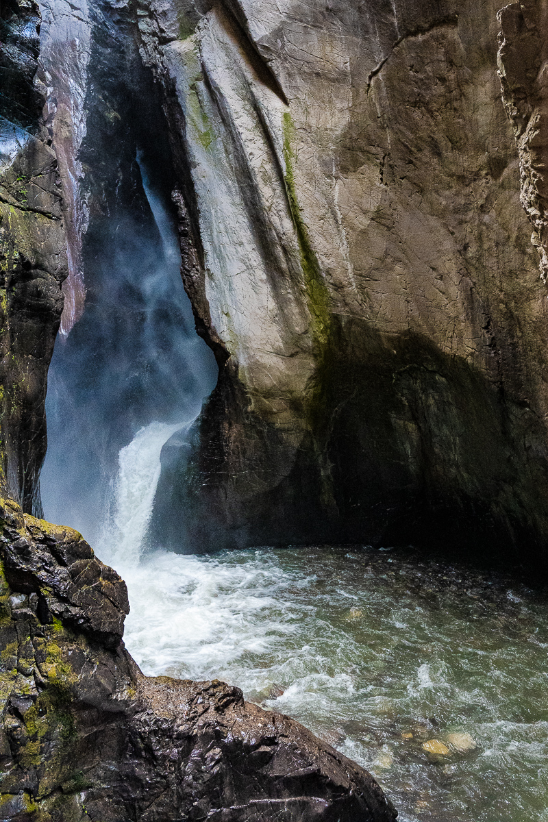 DSC_8417.jpg