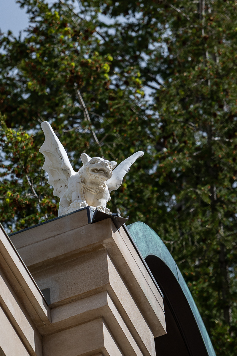 DSC_8450.jpg
