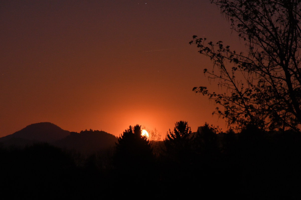 DSC_8452.JPG
