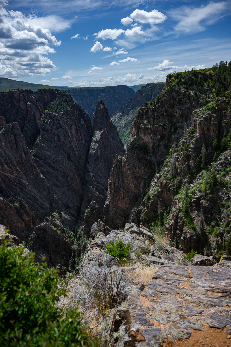 DSC_8504.jpg