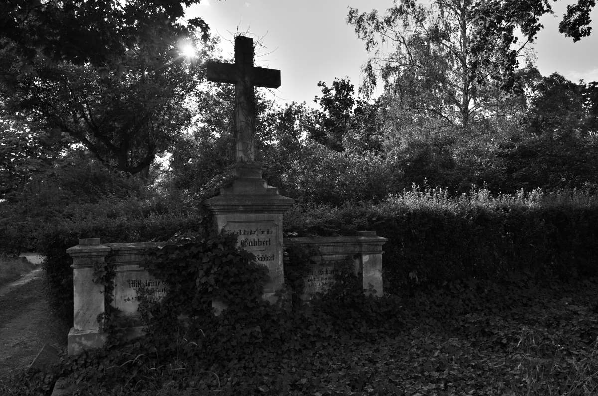 DSC_8565.JPG