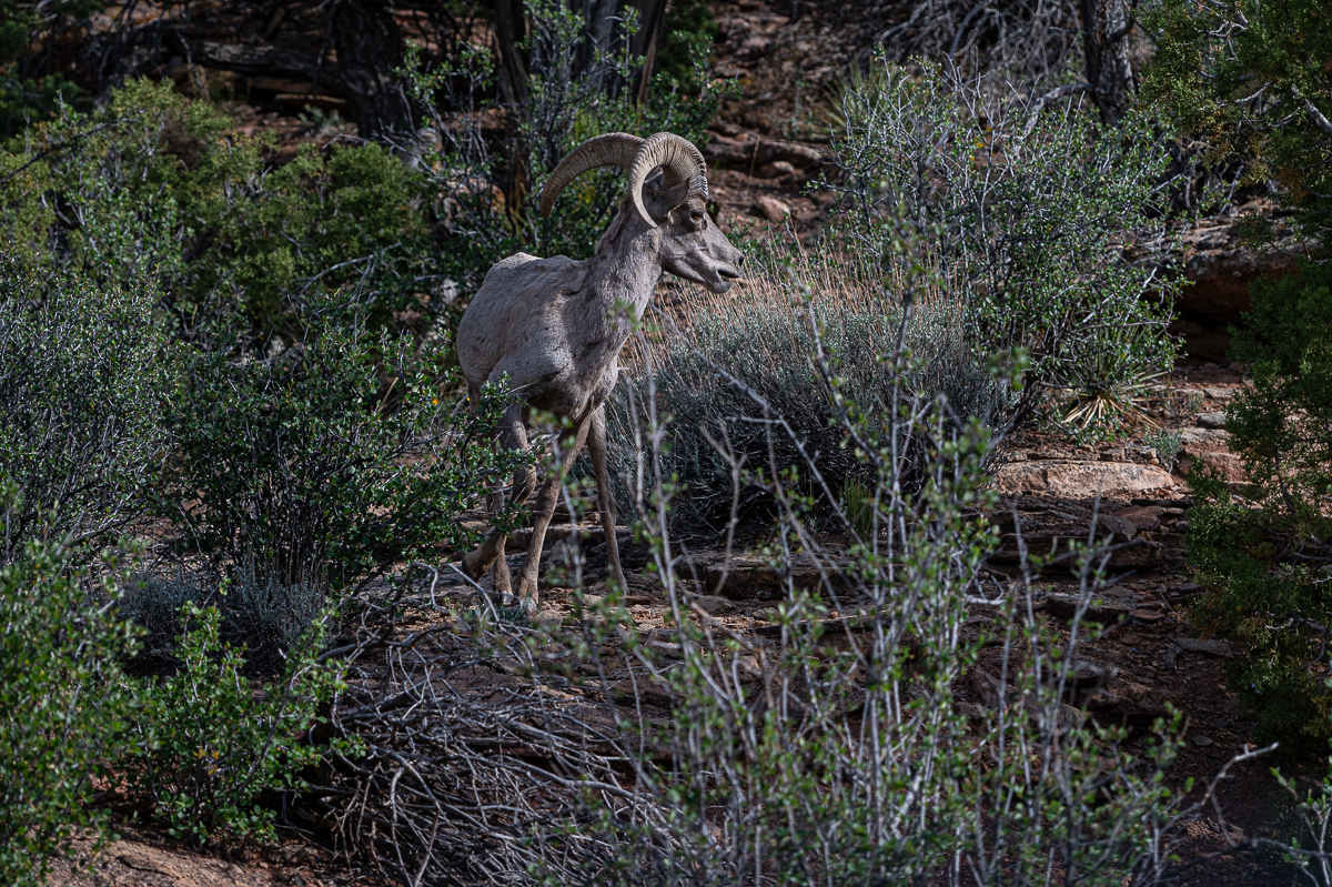 DSC_8565.jpg