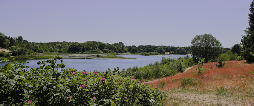 DSC_8603.jpg