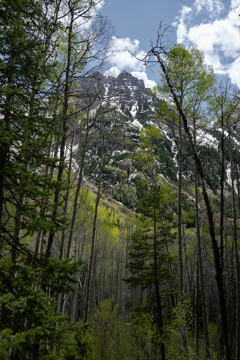 DSC_8613.jpg