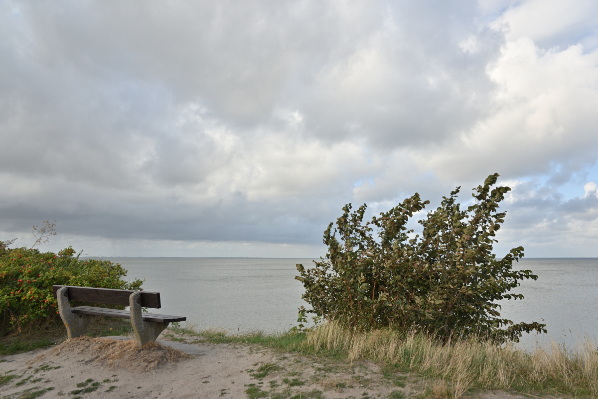 DSC_8641.JPG