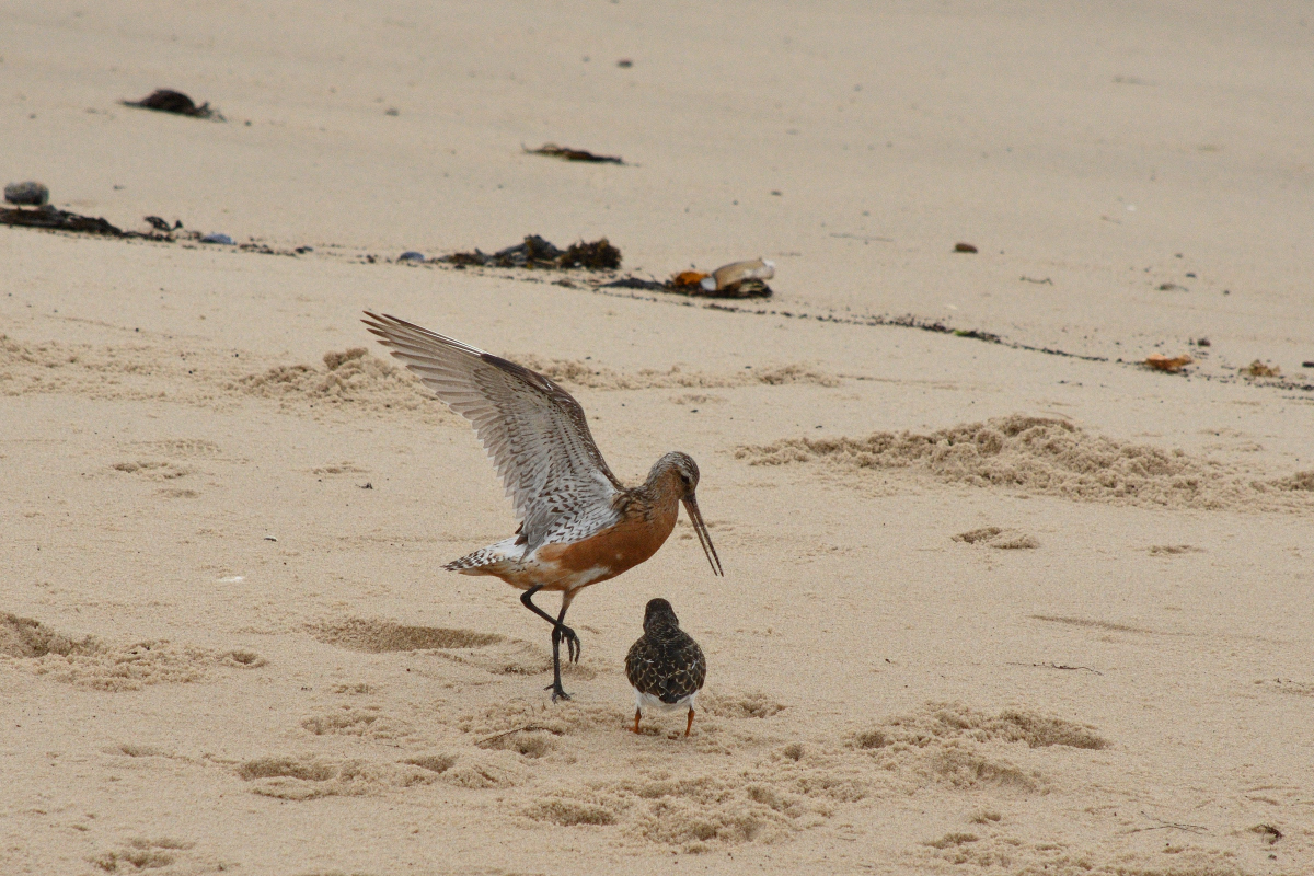 DSC_8691.JPG