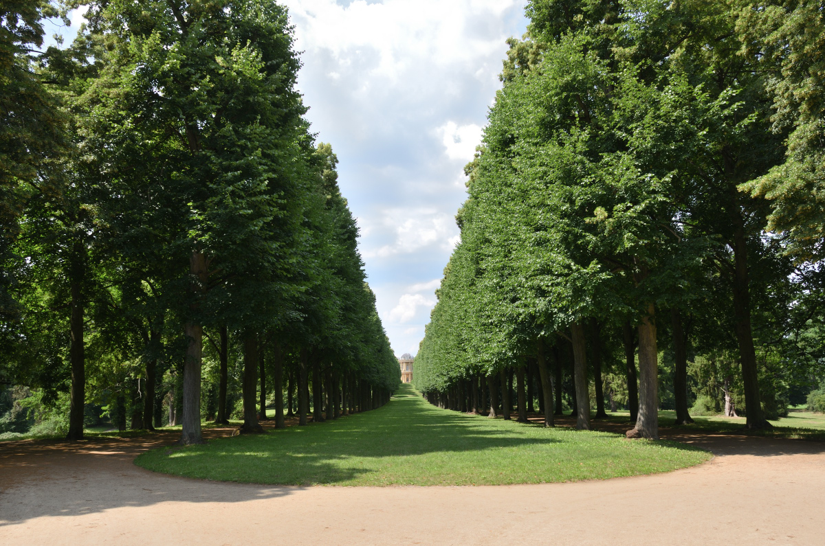 DSC_8692.JPG