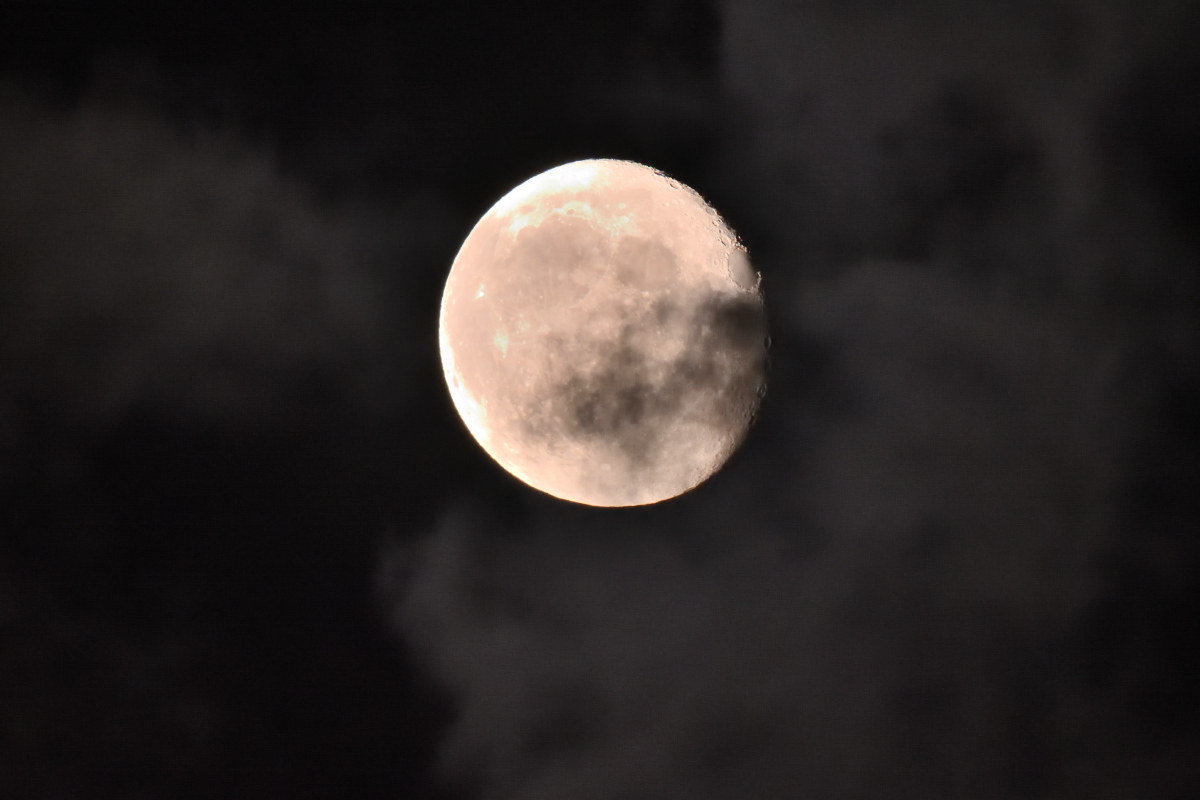 DSC_8695.JPG