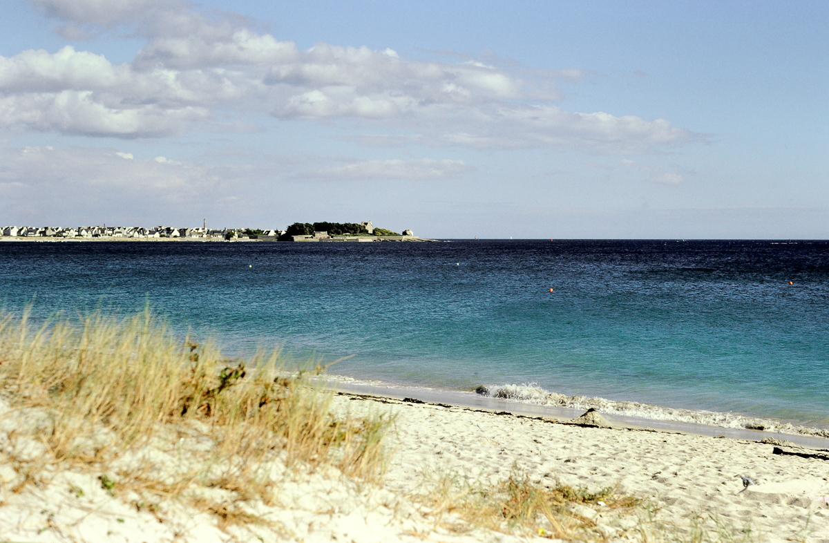 DSC_8701.jpg