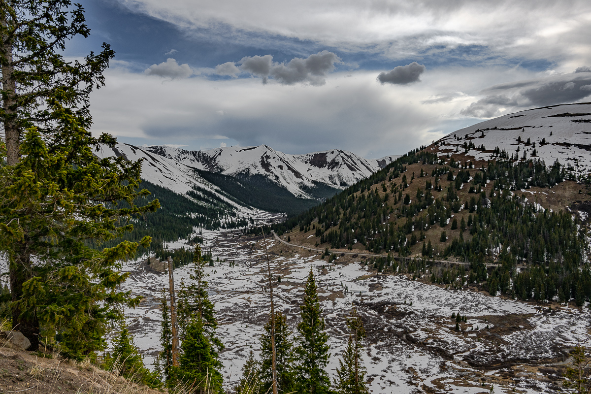 DSC_8710.jpg