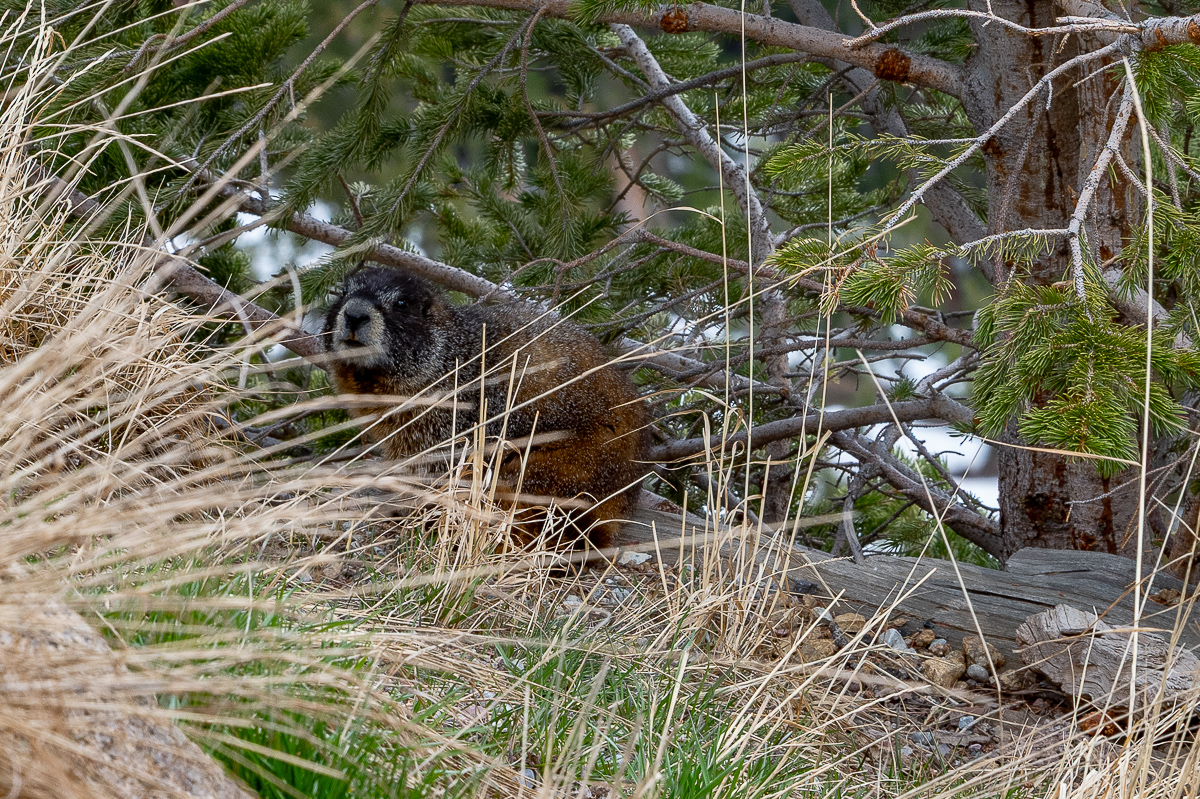 DSC_8711.jpg