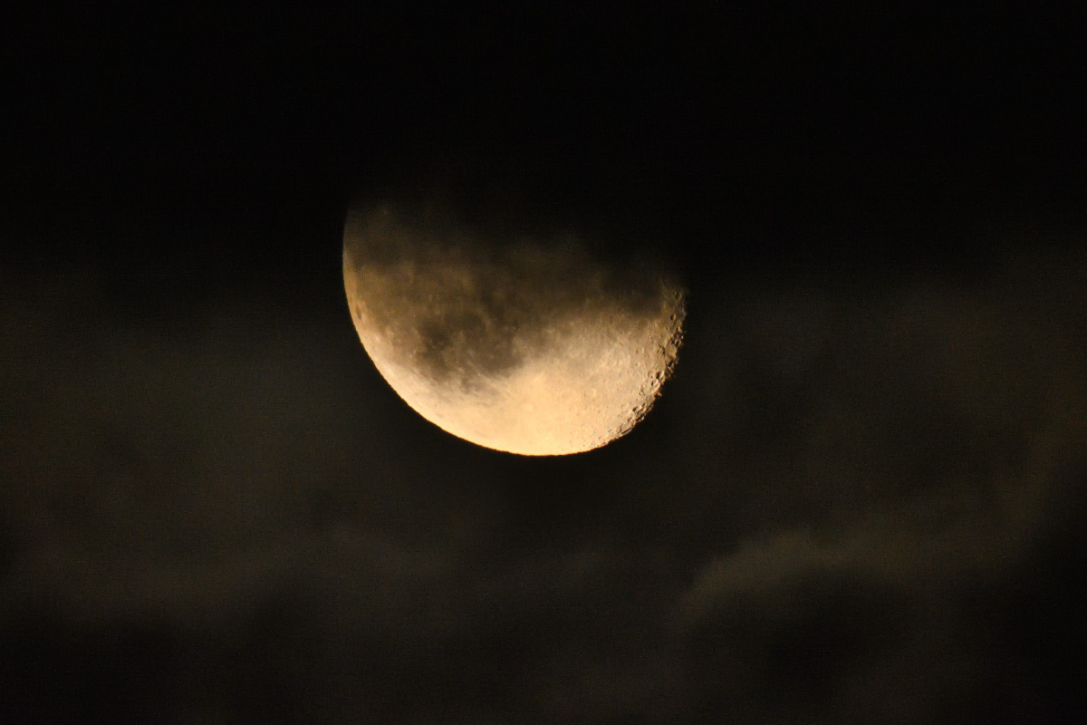 DSC_8756.JPG