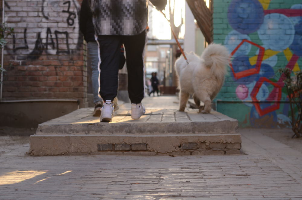 DSC_8778_01.JPG