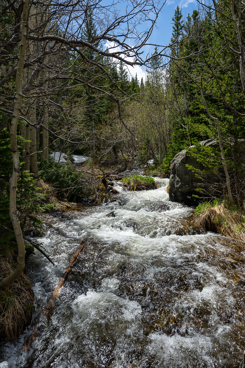 DSC_8779.jpg