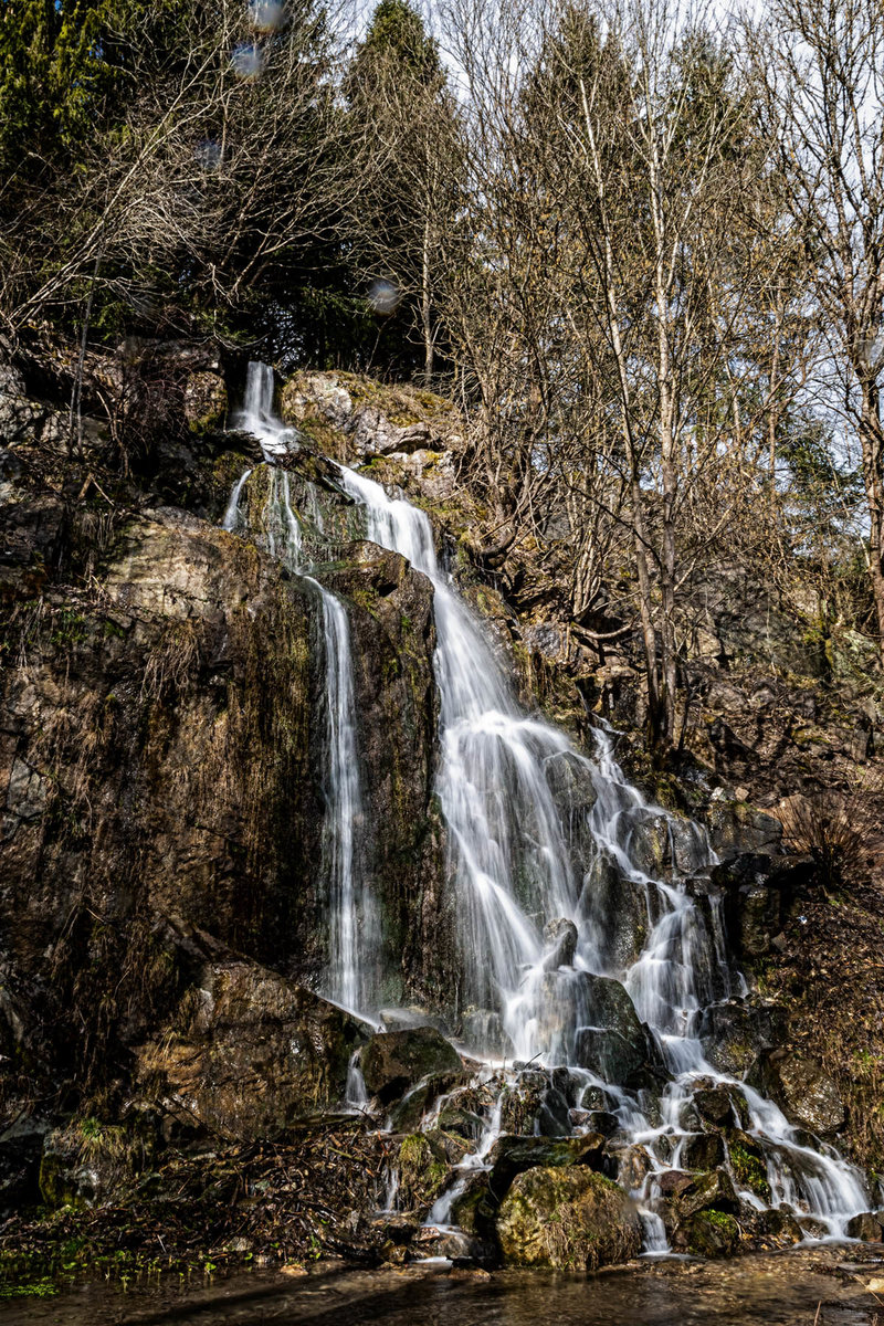 DSC_8781.jpg