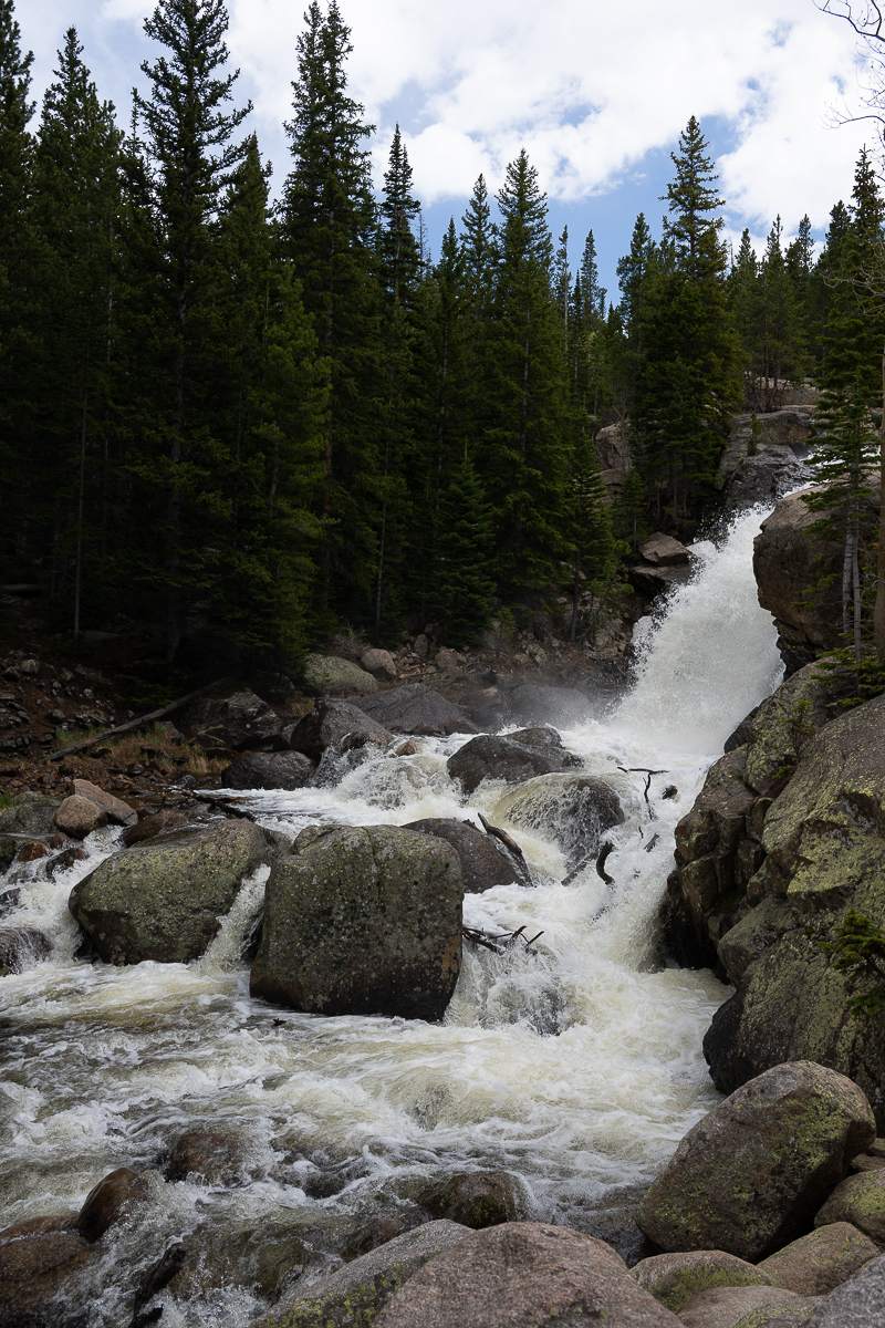 DSC_8795.jpg