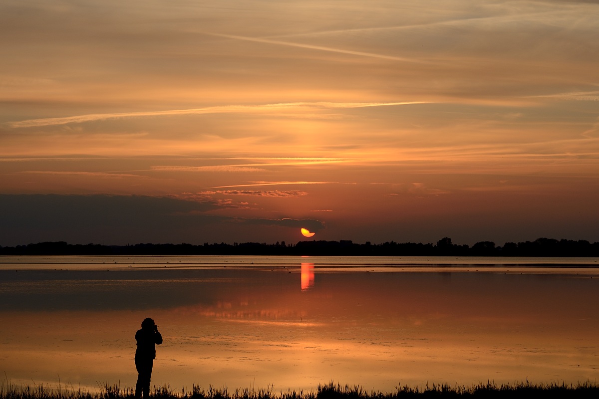 DSC_8795a1.jpg