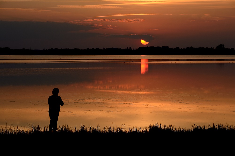 DSC_8796a.jpg