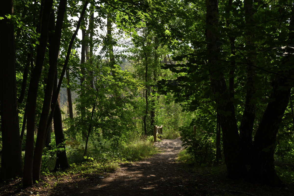 DSC_8797.JPG