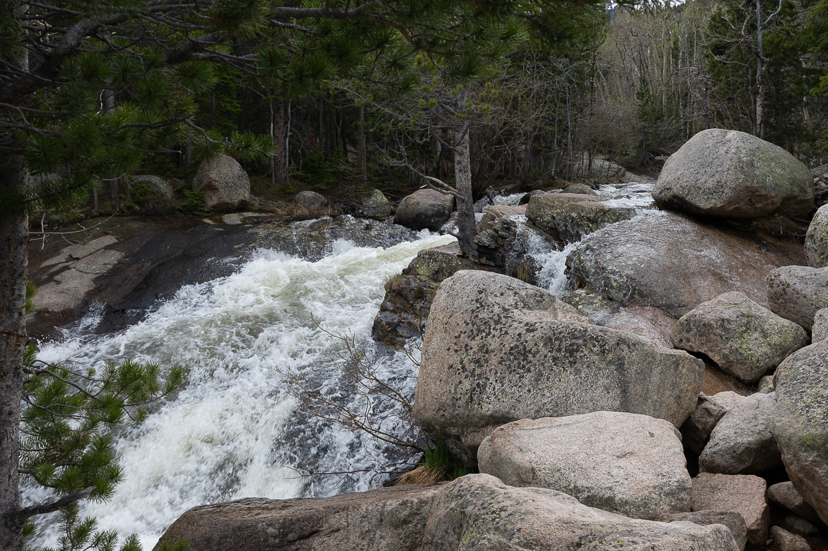 DSC_8797.jpg
