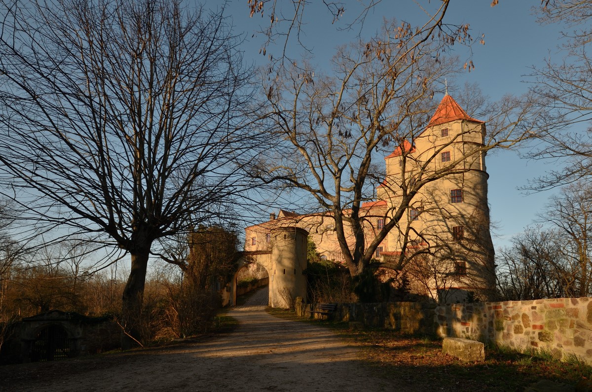 DSC_8803_00001n1.jpg