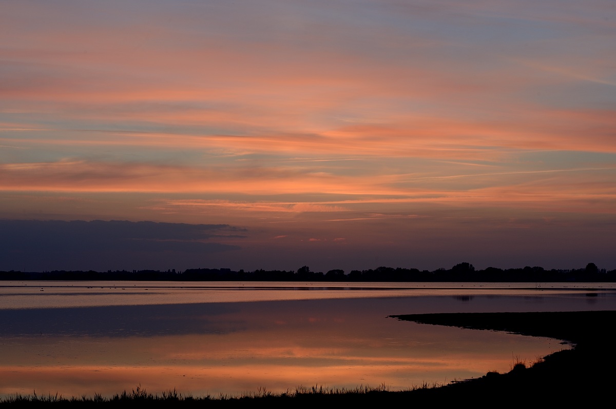 DSC_8842a.jpg