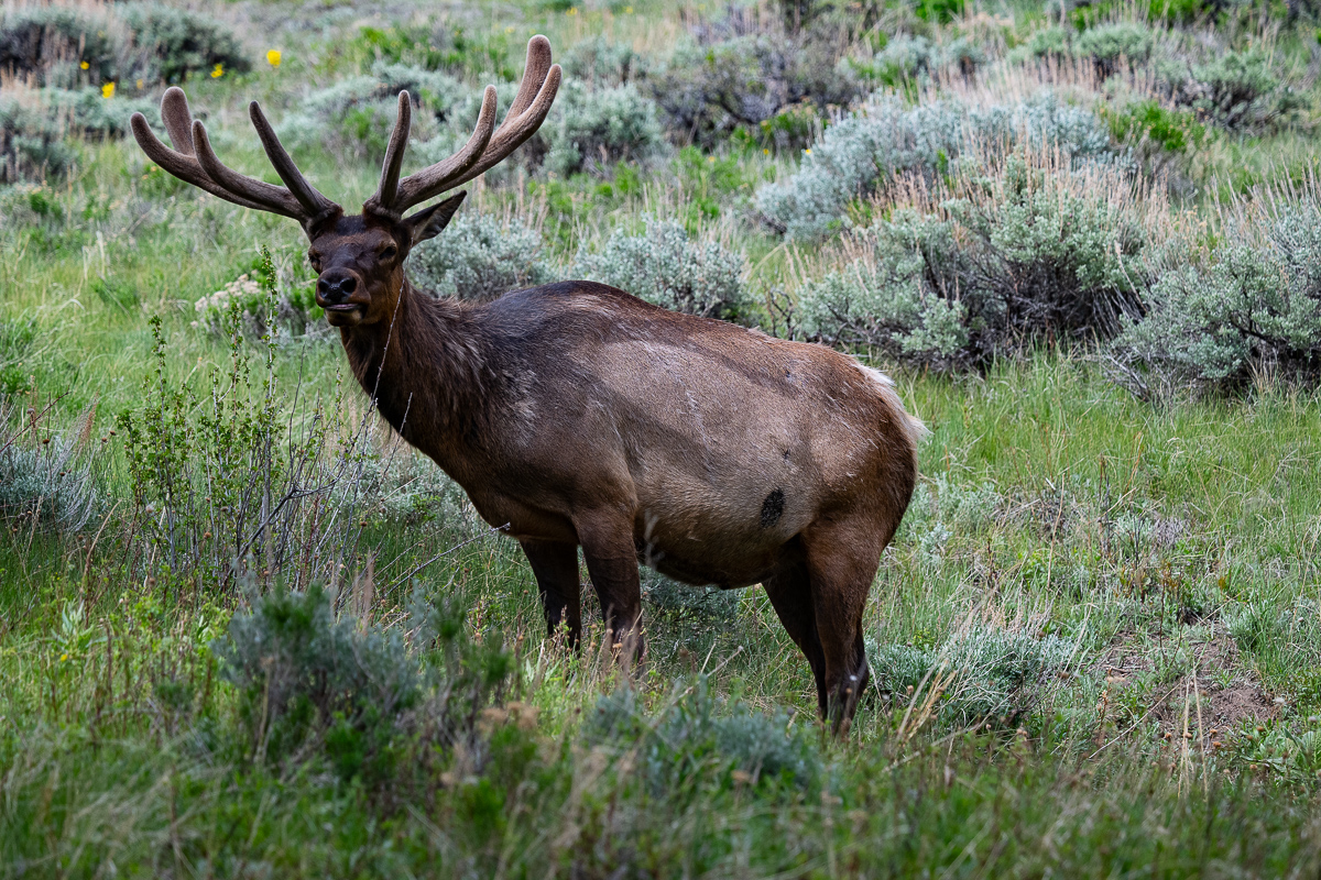 DSC_8847.jpg