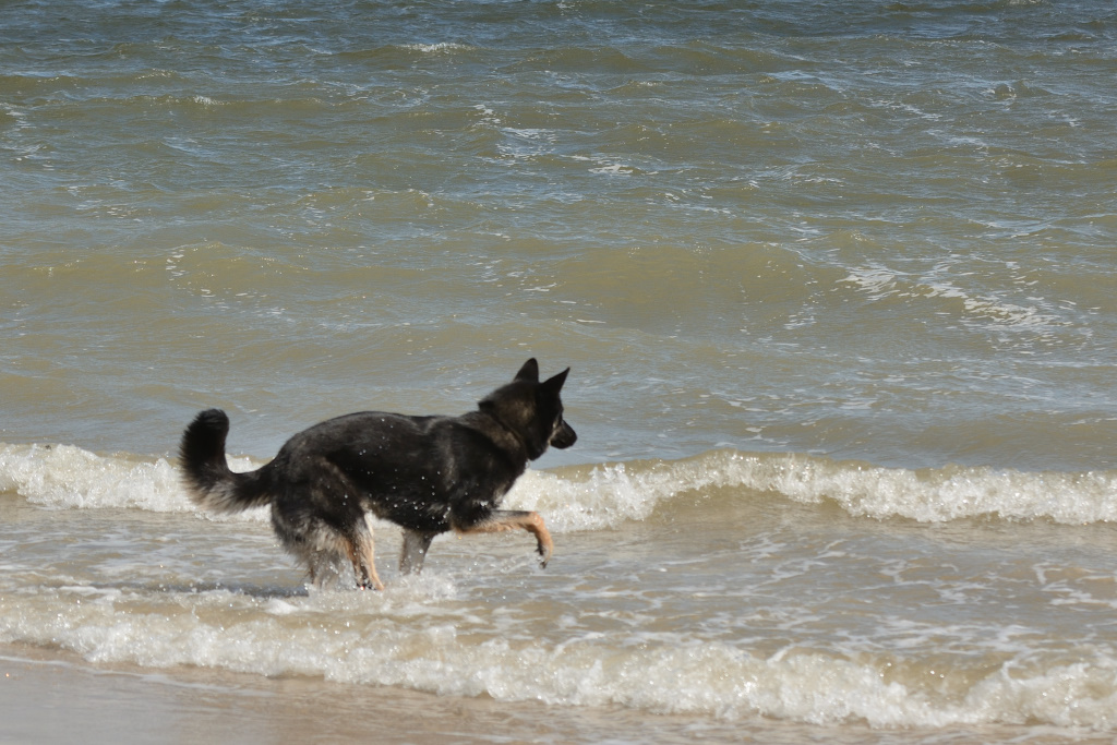 DSC_8863_00002.jpg