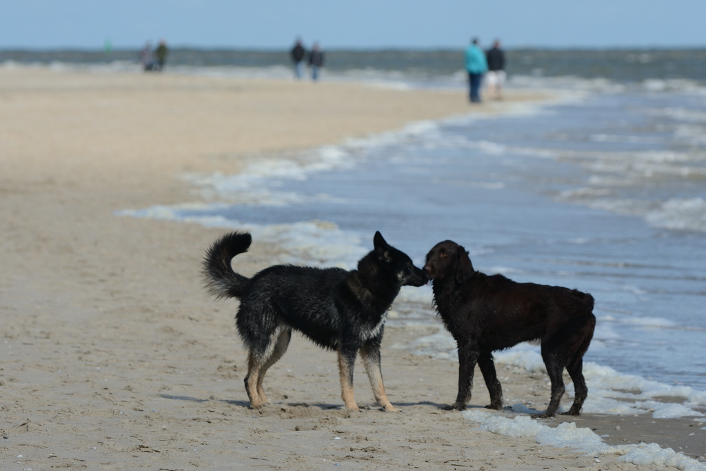 DSC_8871_00003.jpg