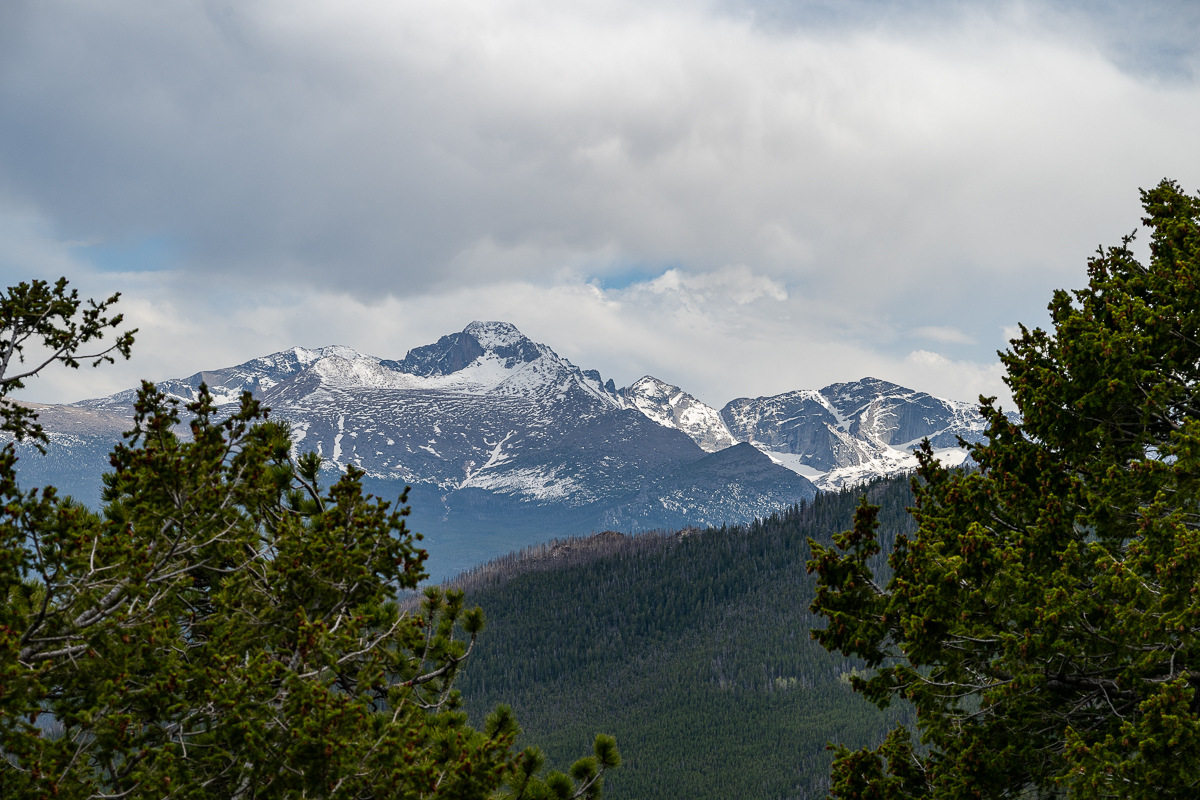 DSC_8876.jpg