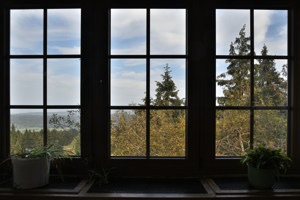 DSC_8898.JPG